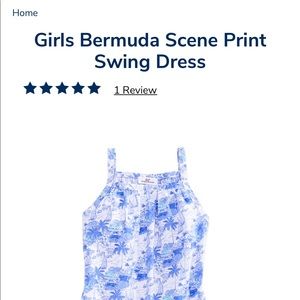 Vineyard Vines Girls Bermuda Scene Print Swing Dress. Size L (14)